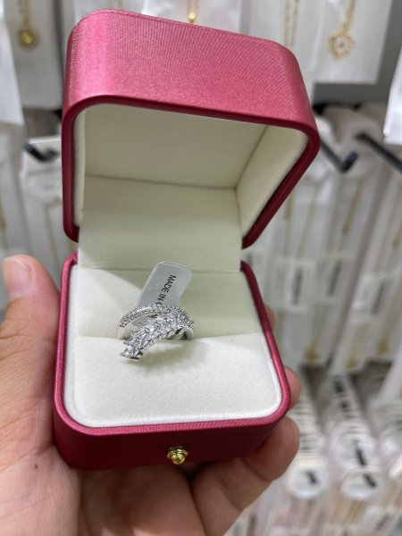 Ring - 13